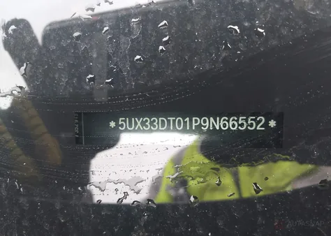5UX33DT01P9N66552